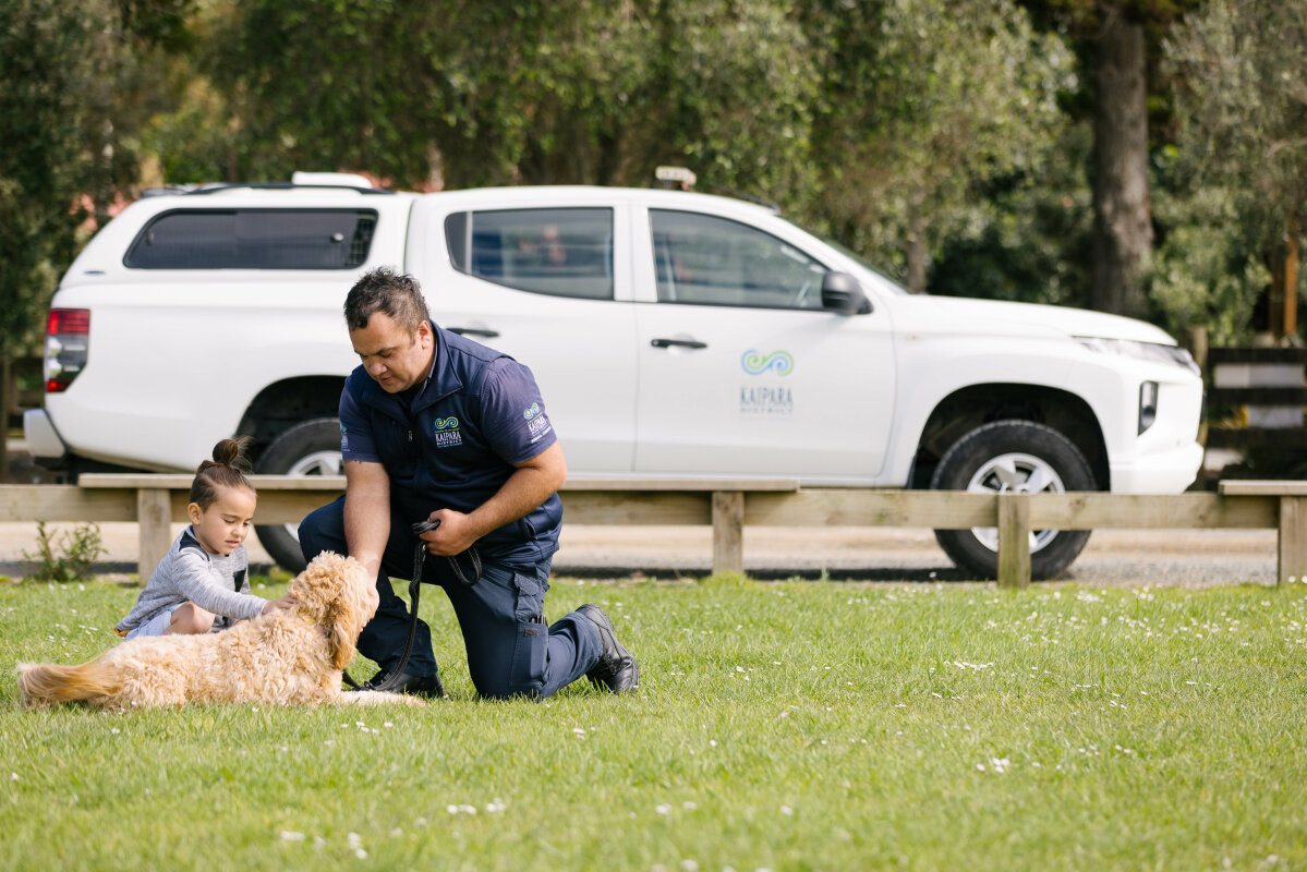 Dog related complaints increase in Kaipara